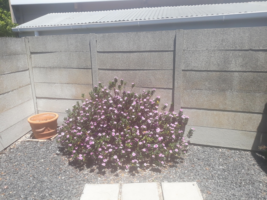 To Let 0 Bedroom Property for Rent in Silver Oaks Western Cape